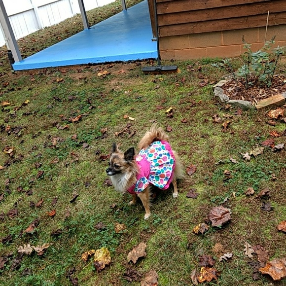 Nothing - Picture 3 of 3